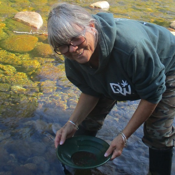 Meet your Posher, Elizabeth - Picture 1 of 1